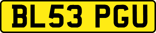 BL53PGU