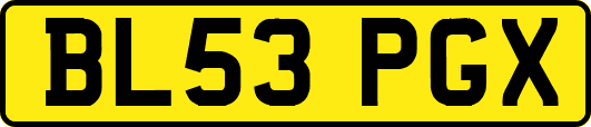 BL53PGX