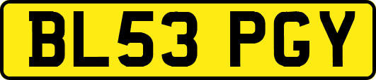 BL53PGY