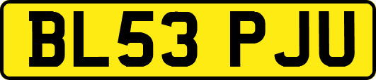 BL53PJU
