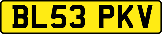 BL53PKV