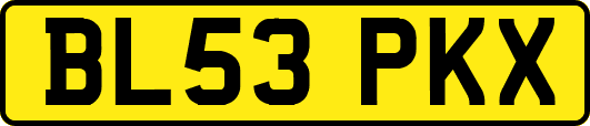 BL53PKX