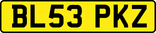 BL53PKZ