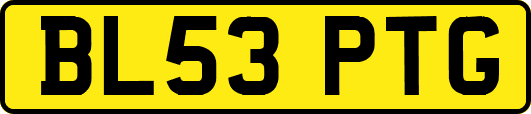 BL53PTG