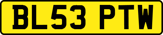 BL53PTW