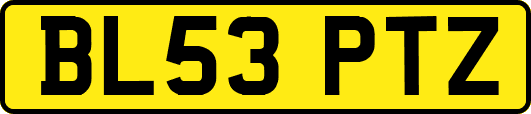 BL53PTZ