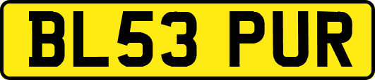 BL53PUR