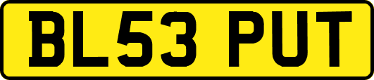 BL53PUT