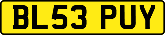 BL53PUY