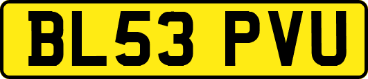 BL53PVU