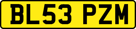 BL53PZM