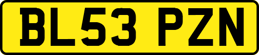 BL53PZN