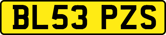 BL53PZS