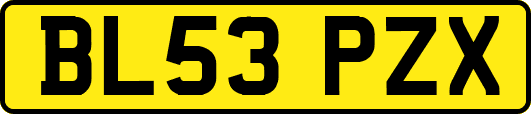 BL53PZX