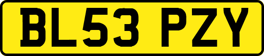 BL53PZY