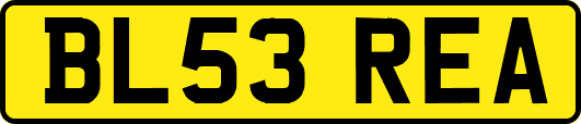 BL53REA
