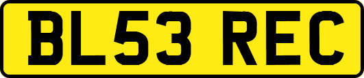 BL53REC