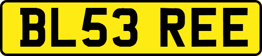 BL53REE