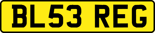 BL53REG