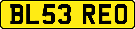 BL53REO