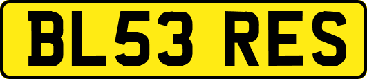 BL53RES