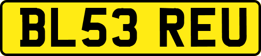 BL53REU