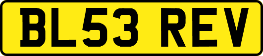 BL53REV