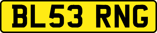 BL53RNG