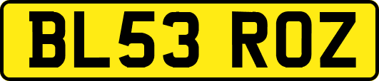 BL53ROZ