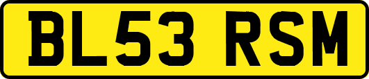 BL53RSM
