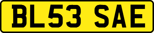 BL53SAE