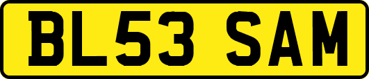 BL53SAM