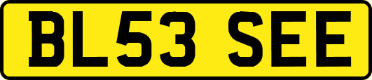 BL53SEE