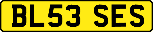 BL53SES