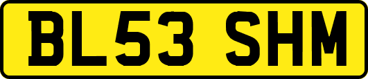BL53SHM