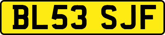BL53SJF