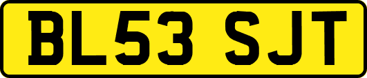 BL53SJT