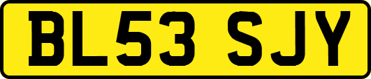 BL53SJY