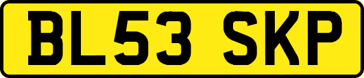 BL53SKP
