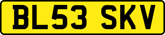 BL53SKV