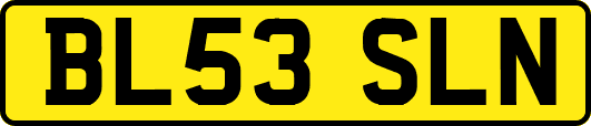 BL53SLN