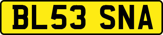 BL53SNA
