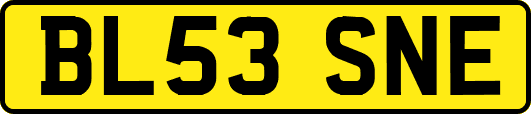 BL53SNE