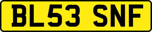 BL53SNF