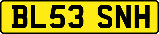 BL53SNH