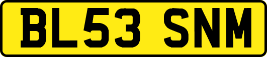 BL53SNM