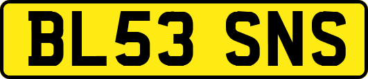 BL53SNS