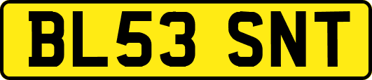 BL53SNT