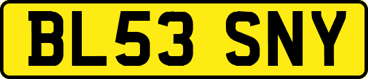 BL53SNY