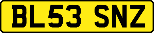 BL53SNZ